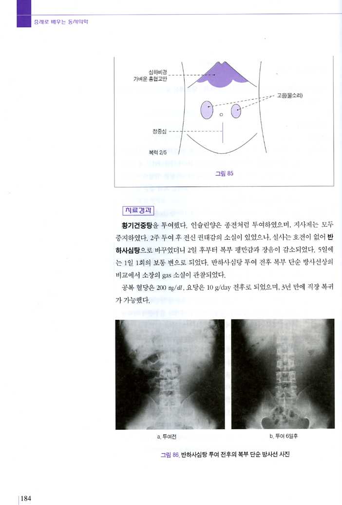 증례로배우는동서의학