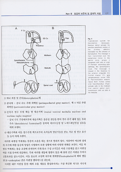 통증의 중재적 및 수술적 치료