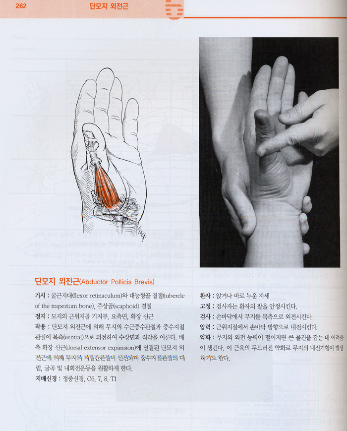 자세와 통증치료에 있어서 근육의 기능과 검사 5판