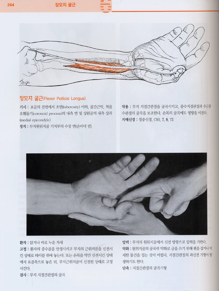 자세와 통증치료에 있어서 근육의 기능과 검사 5판