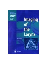 Imaging of the Larynx (Medical Radiology)