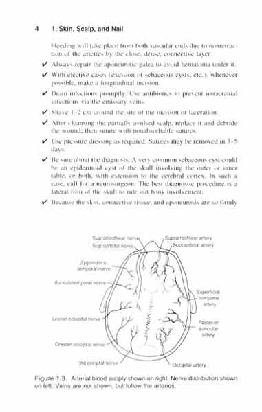 Surgical Anatomy and Technique 2th