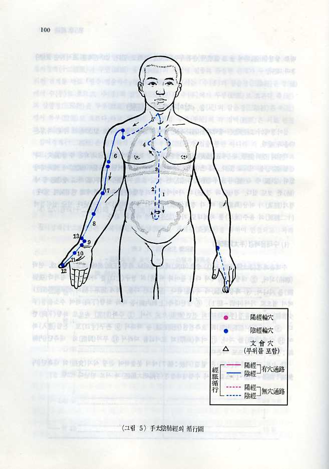 중국침구학