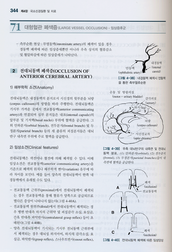 임상신경학, 4/e