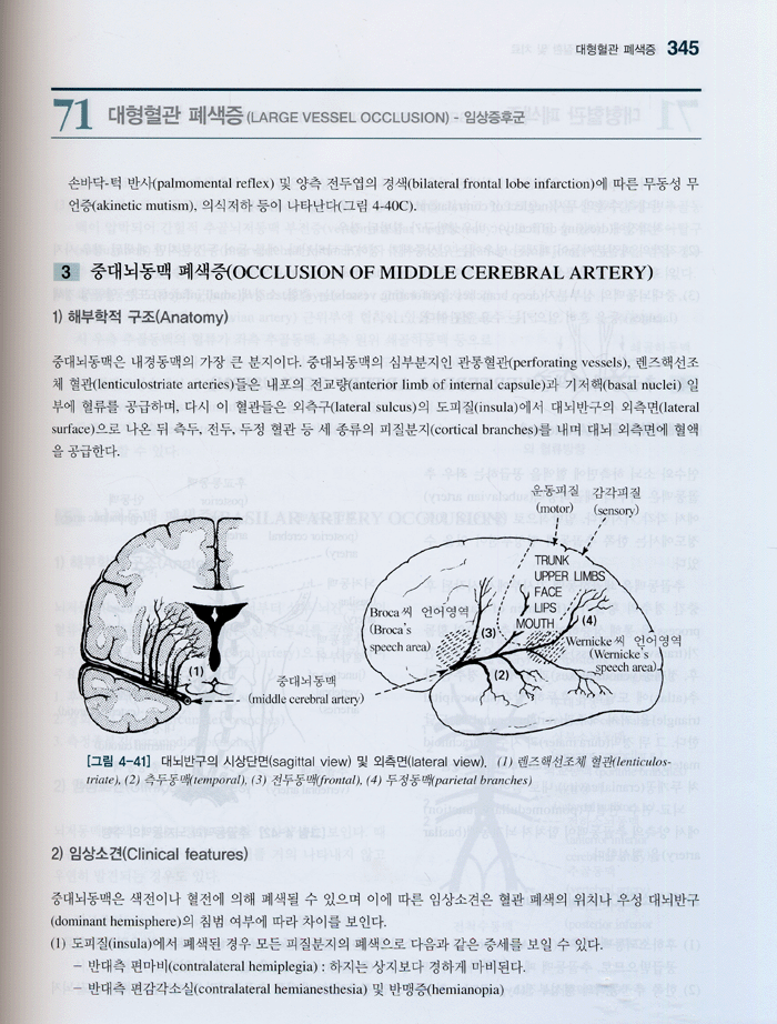 임상신경학, 4/e