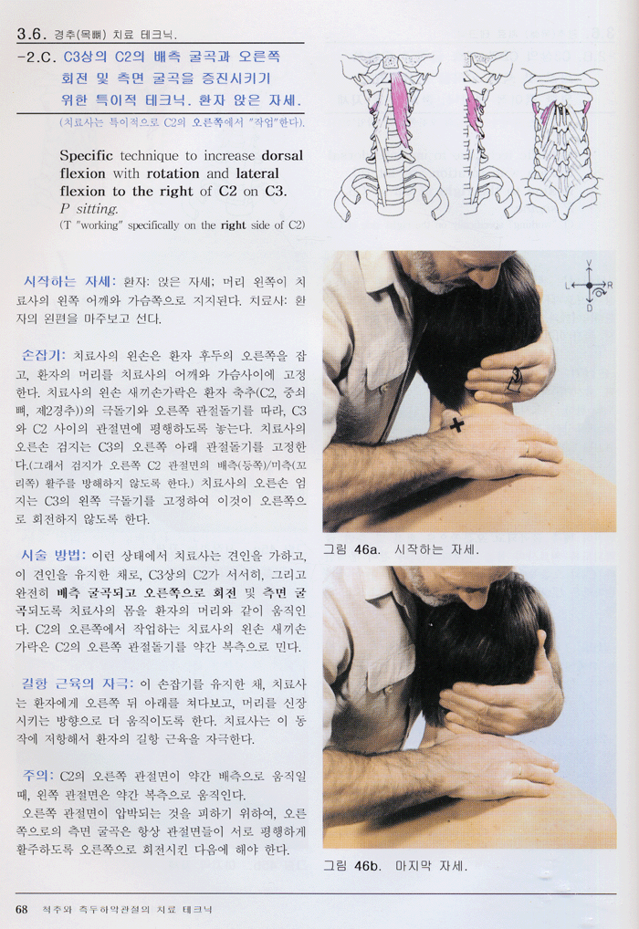 근육의 신장의 맨손요법 -실전의 길잡이 제2권 척추와 측두하악관절편