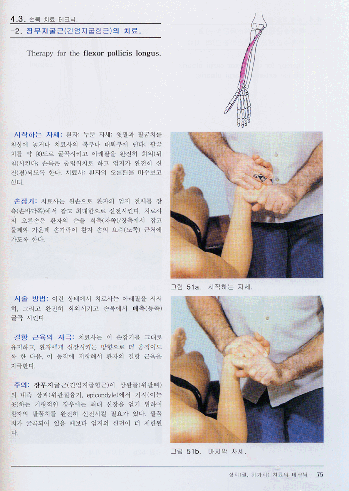 근육 신장의 맨손요법 -실전의 길잡이 제1권 팔 다리 편