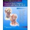 Head and Neck Surgery-Otolaryngology, 4th edition ( 2 Vol .set)