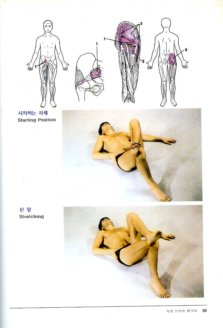 근육의 자가 신장 - 근육 신장의 완벽한 길잡이