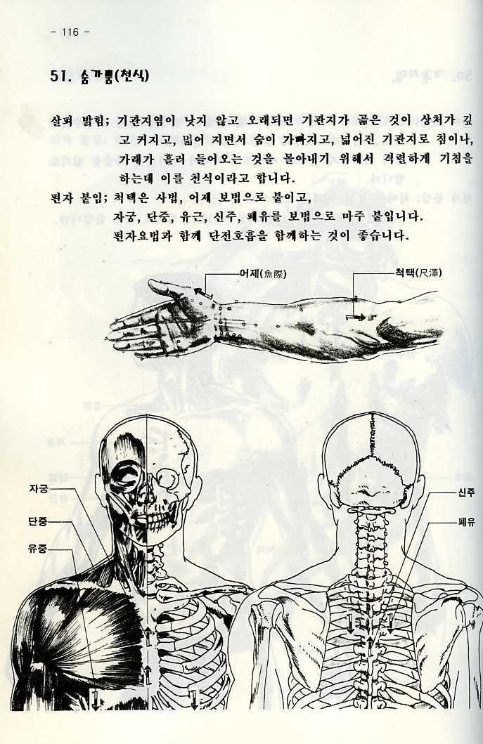 편자요법-누구나할수있는무통건강관리비법