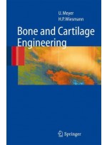 Bone and Cartilage Engineering