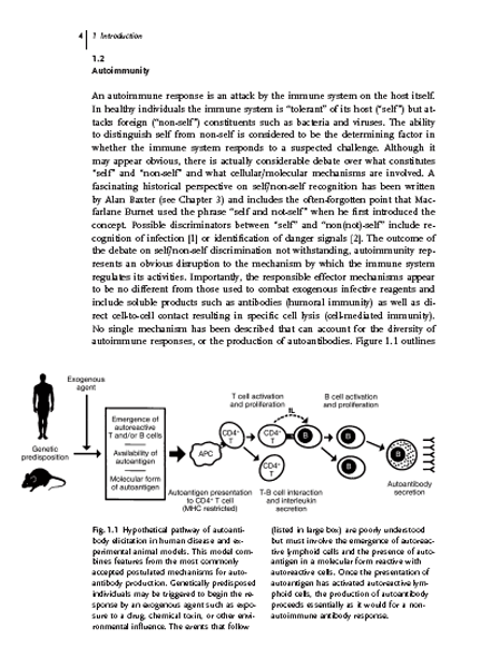 Autoantibodies and Autoimmunity : Molecular Mechanisms in Health and Disease