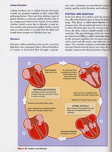 Basic Arrhythmias, 6/e