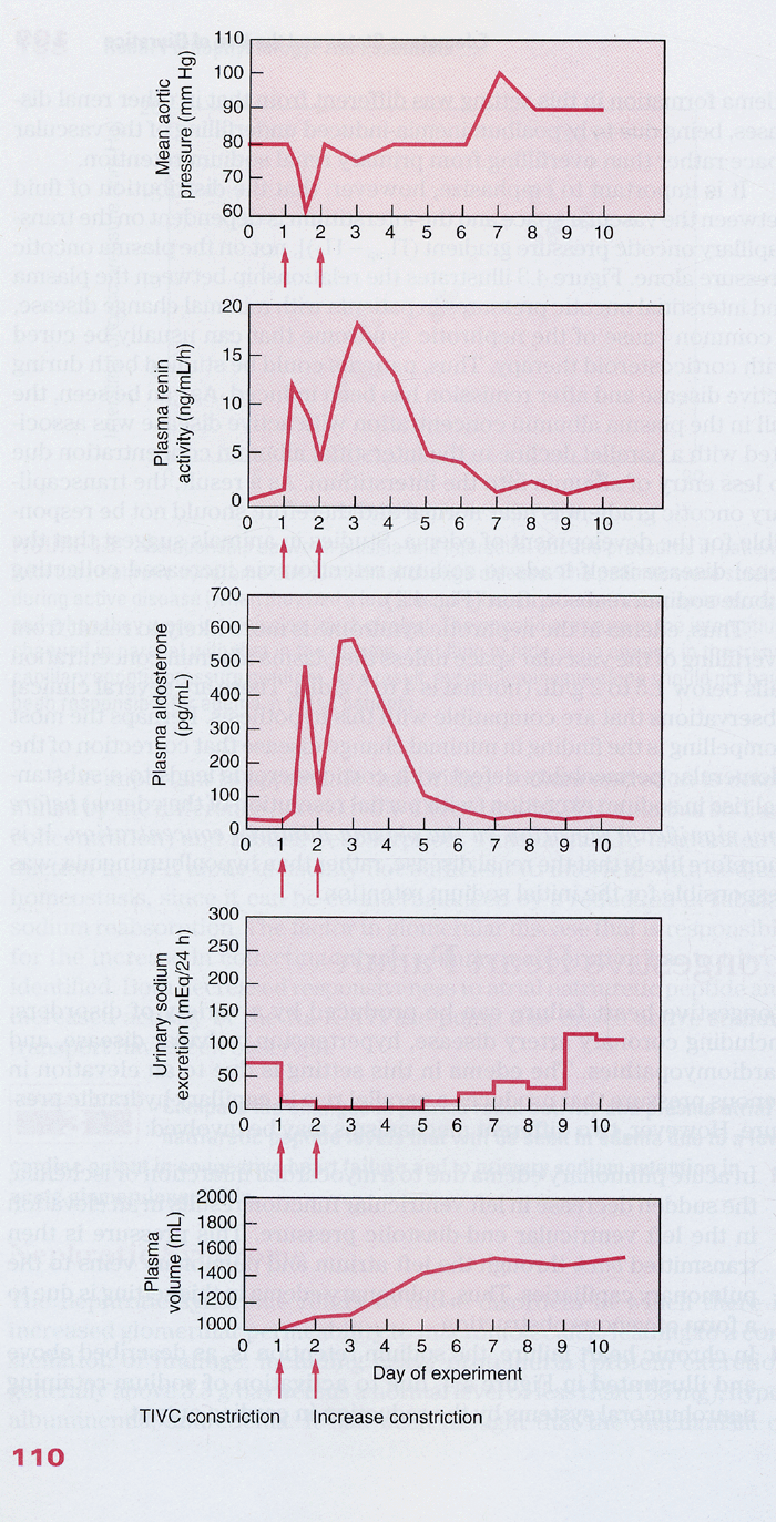 Renal Pathophysiology the Essentials 2th