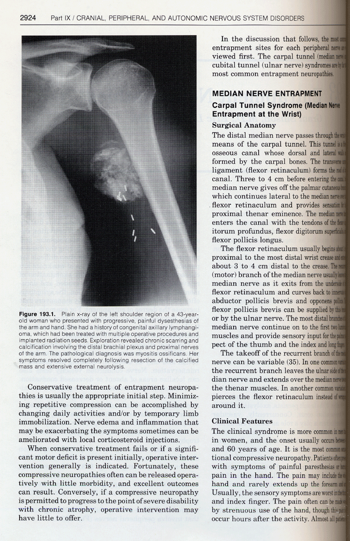 The Practice of Neurosurgery 1,2,3 (3권)