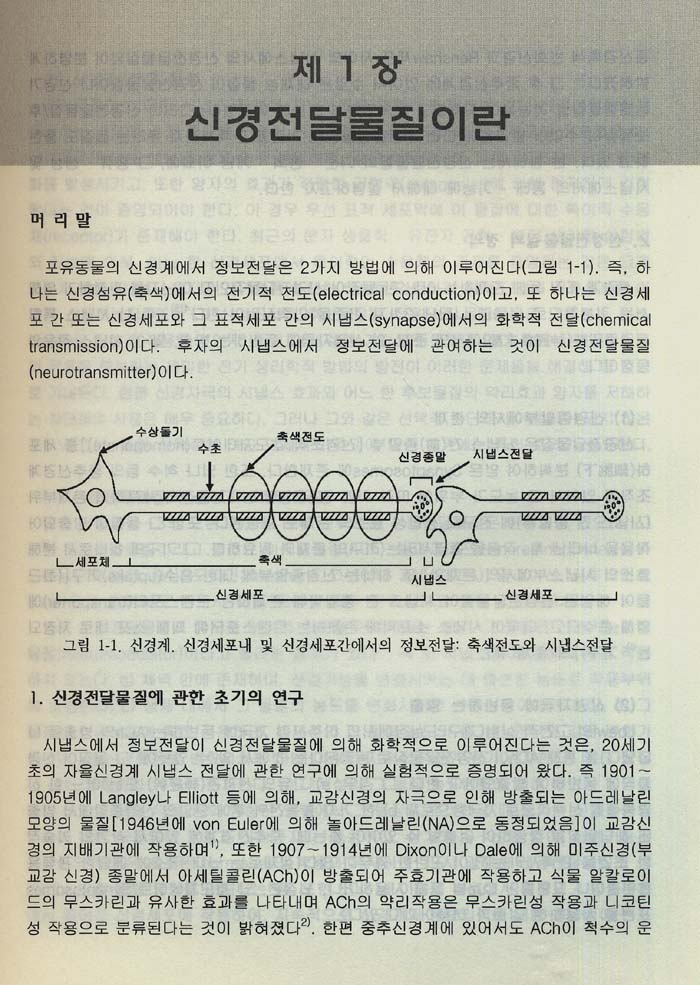 신경전달물질과 뇌질환