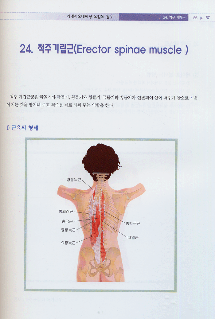 키네시오 & 미용테이핑