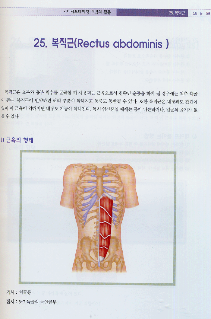 키네시오 & 미용테이핑