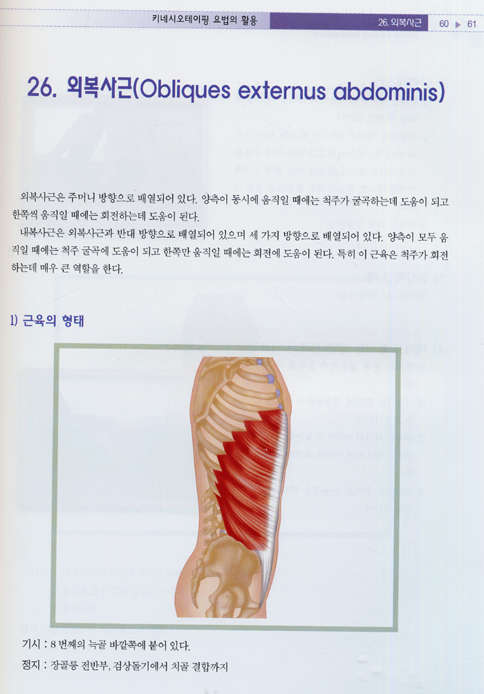 키네시오 & 미용테이핑