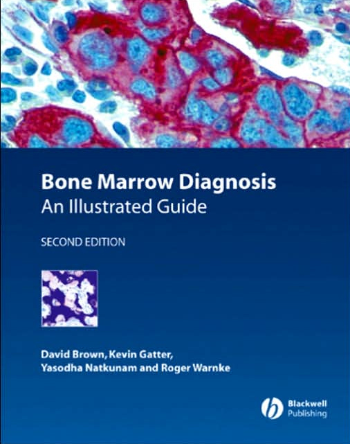 Bone Marrow Diagnosis: An Illustrated Guide 2/e