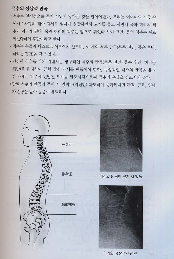 근골격계 자가운동 치료 (1SET 전2권)