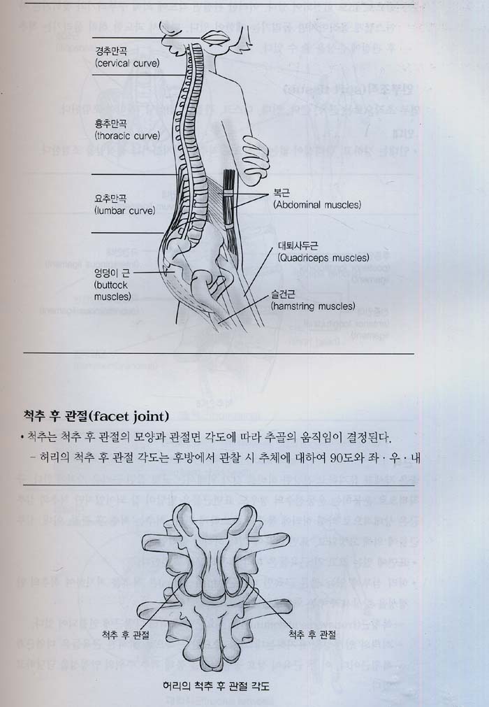 근골격계 자가운동 치료 (1SET 전2권)