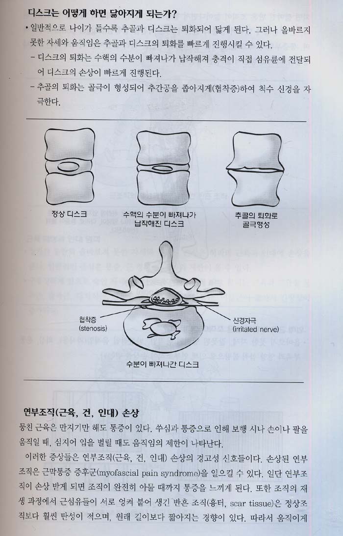 근골격계 자가운동 치료 (1SET 전2권)