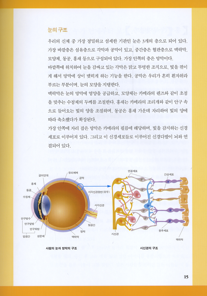 홍채와 수지침 30분