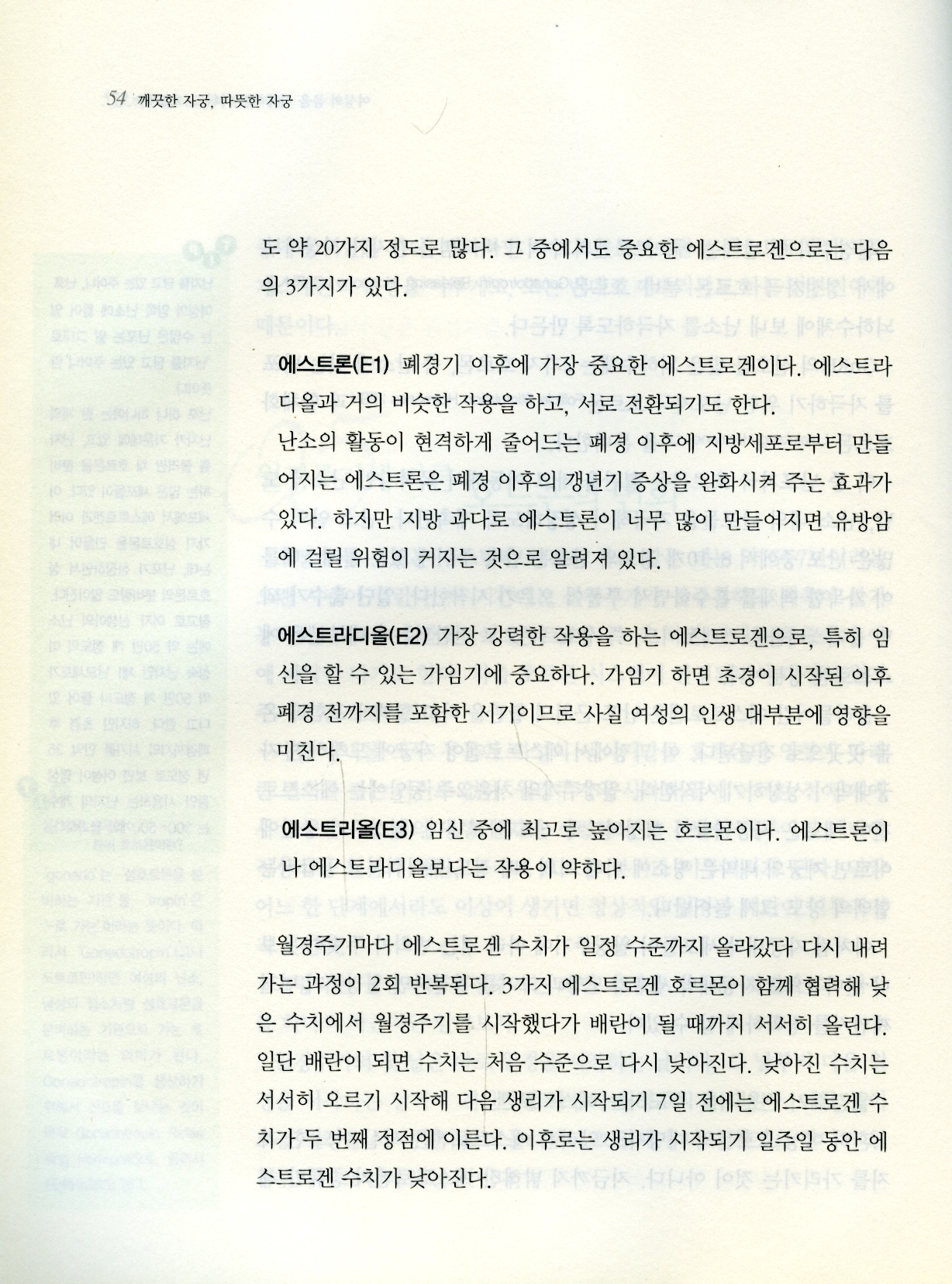 깨끗한 자궁, 따뜻한 자궁 (정주화박사의 알기 쉬운 자궁근종 이야기)