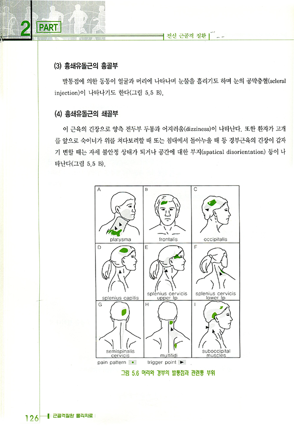 근골격질환물리치료