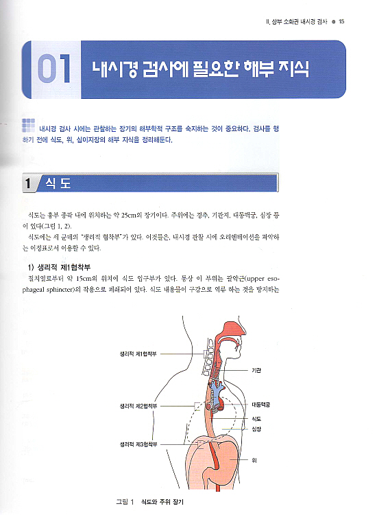 컬러사진과 DVD로 보는 소화기 내시경 검사 테크닉 (DVD포함)