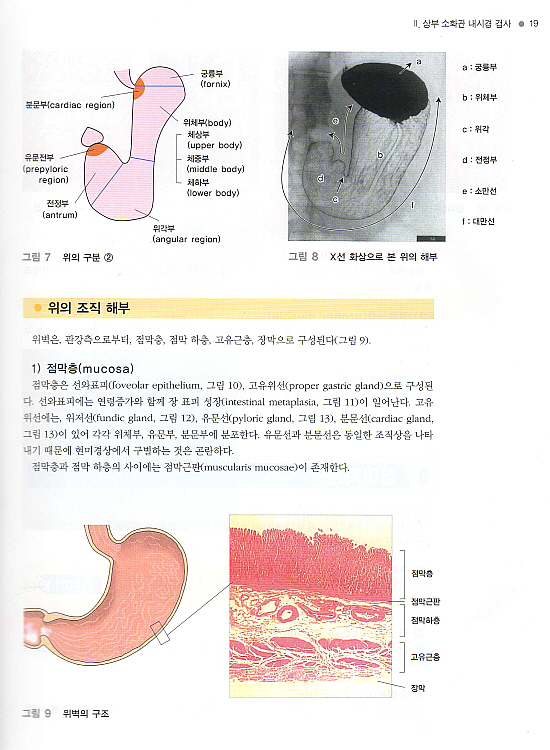 컬러사진과 DVD로 보는 소화기 내시경 검사 테크닉 (DVD포함)