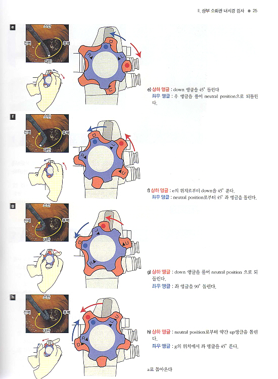 컬러사진과 DVD로 보는 소화기 내시경 검사 테크닉 (DVD포함)