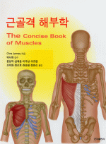 근골격해부학