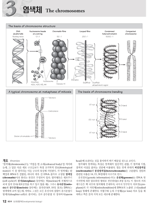 한눈에알수있는의학유전학:Medical Genetics at a Glance번역