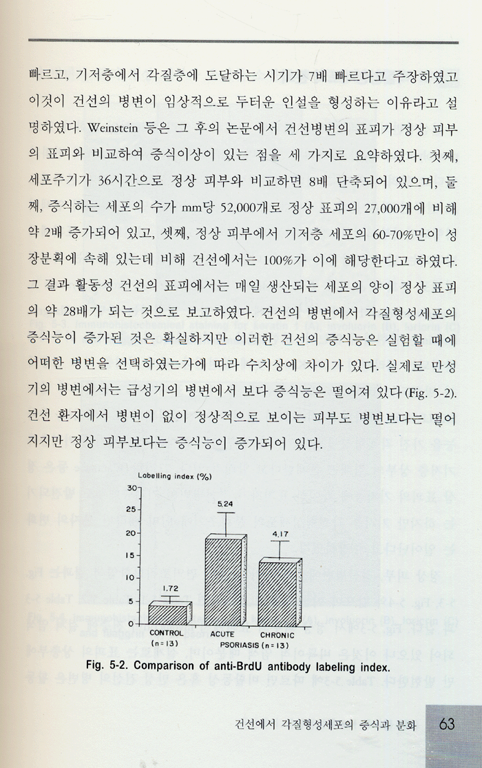 건선의 병인과 치료 UPDATE IN PSORIASIS 건선