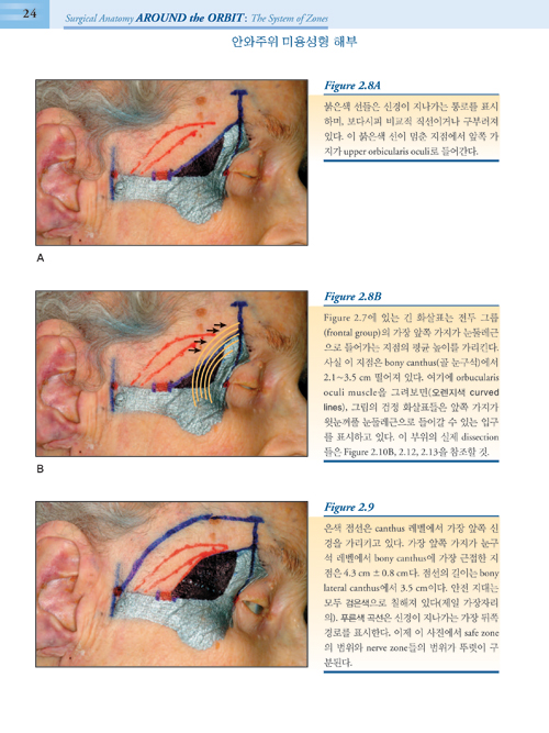 안와주위 미용성형해부(Surgical Anatomy Around the Orbit the System of Zone) [DVD 무료증정]