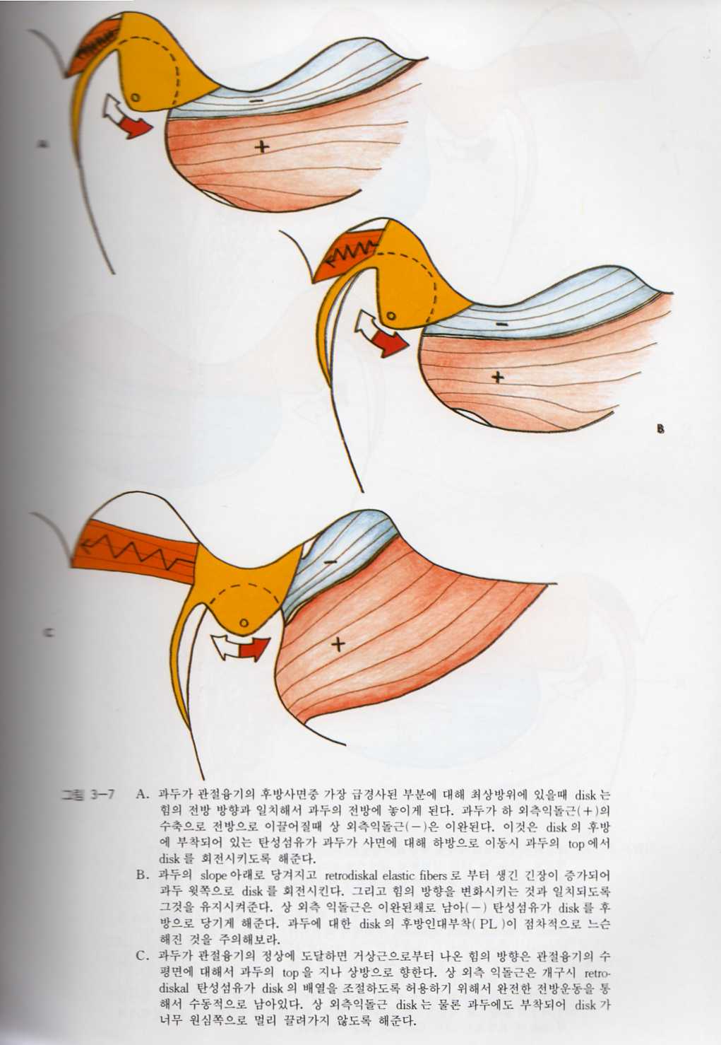 교합의 진단과 치료