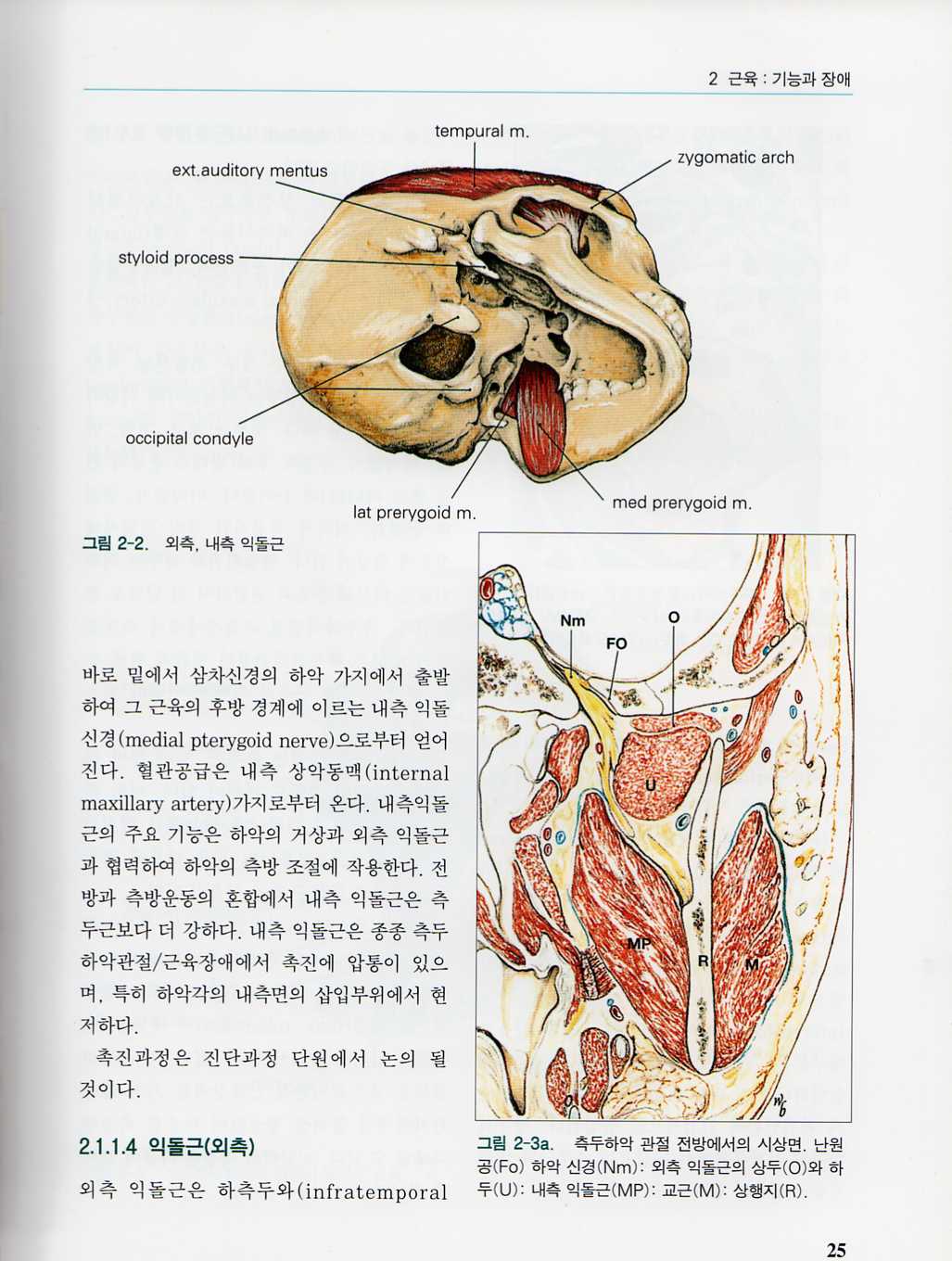 측두하악장애 환자의 splint 치료