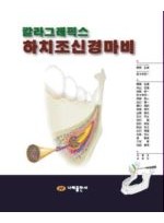 칼라그래픽스 하치조신경마비