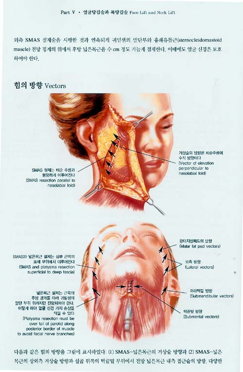 미용성형외과학:아름다움 창조의 이론과 술기,3vols, 5DVD