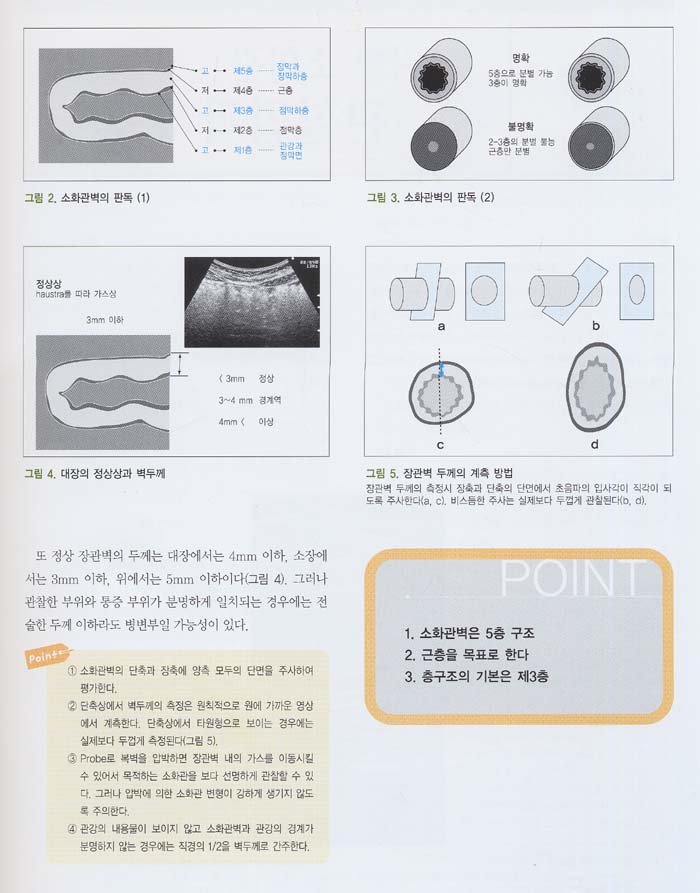 임상의를 위한 소화관 초음파 검사