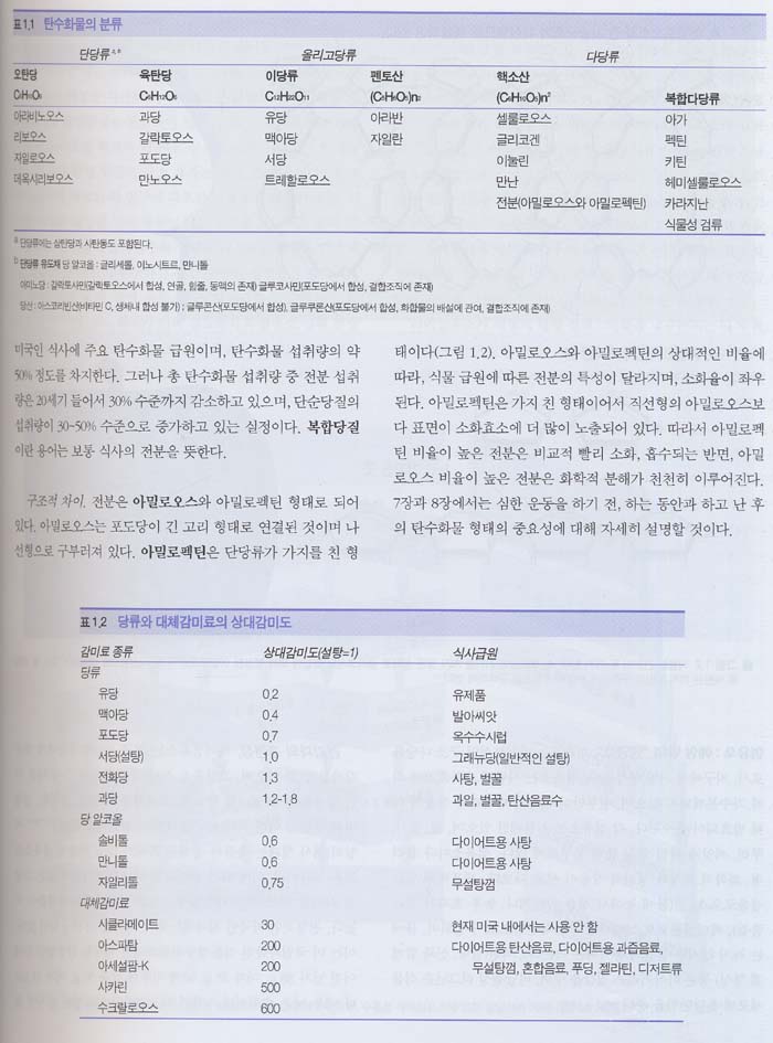 스포츠 영양학