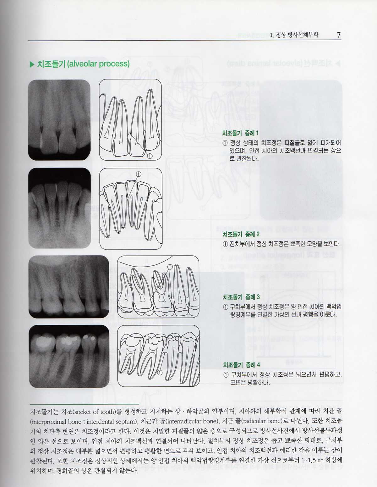 도해구강악안면방사선학