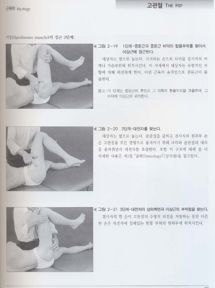 체간 사지 촉진 -상체,하체- (전2권)