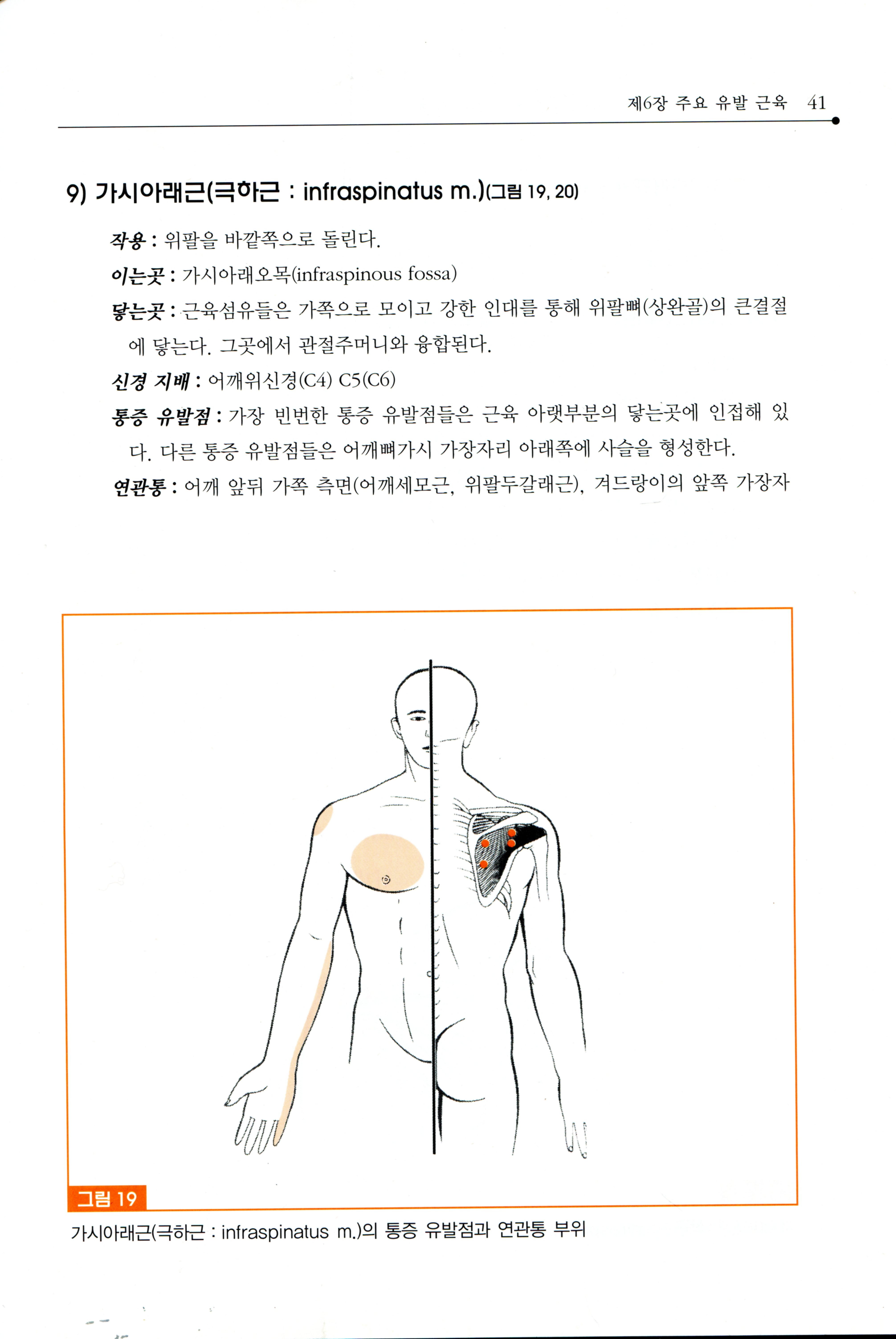 통증치료를 위한 통증유발점과 유발기전의 이해