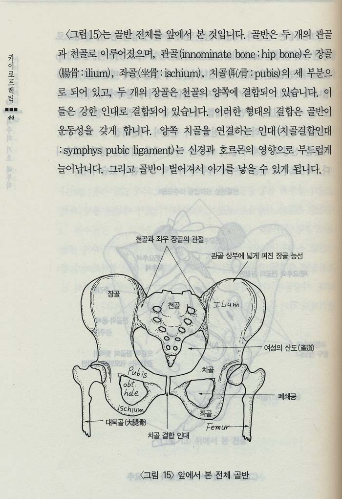 혼자서도 쉽게 배우는 척추교정 카이로프랙틱 (Home Chiropratic Handbook & Vidio Tape)