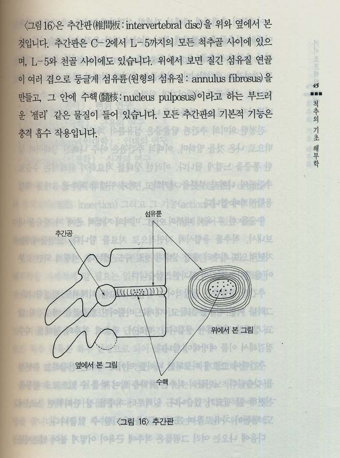 혼자서도 쉽게 배우는 척추교정 카이로프랙틱 (Home Chiropratic Handbook & Vidio Tape)