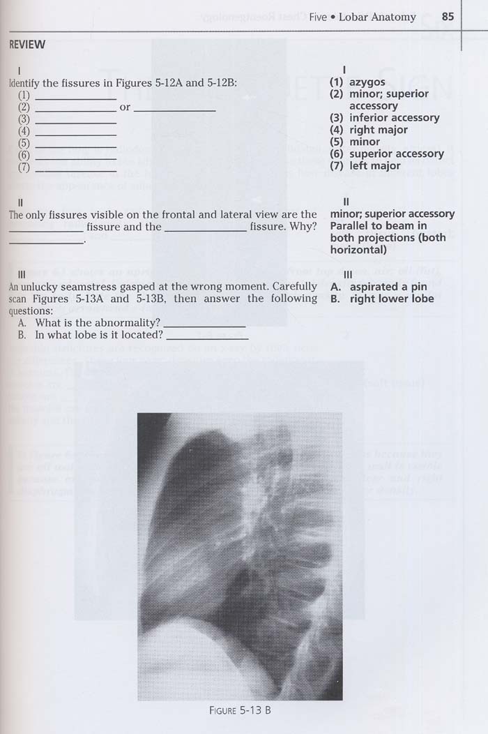 Felson's Principles of Chest Roentgenology Text with CD-ROM,3/e