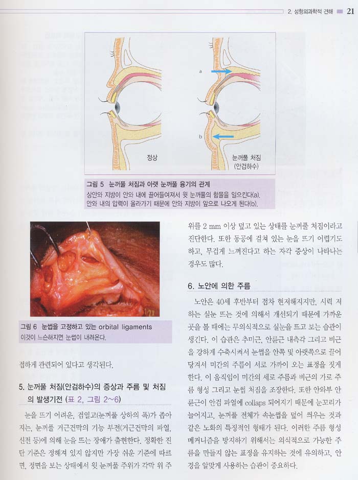 안면 노화방지 로드맵 (Facial Rejuvenation Treatment) Vol.2